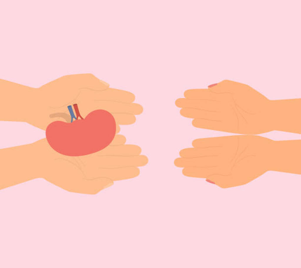 Best Kidney Transplant in South Mumbai